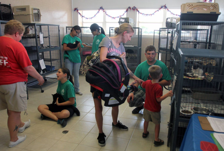 Pet Adoptions